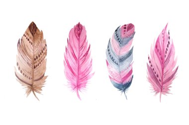 Suluboya egzotik tüyler