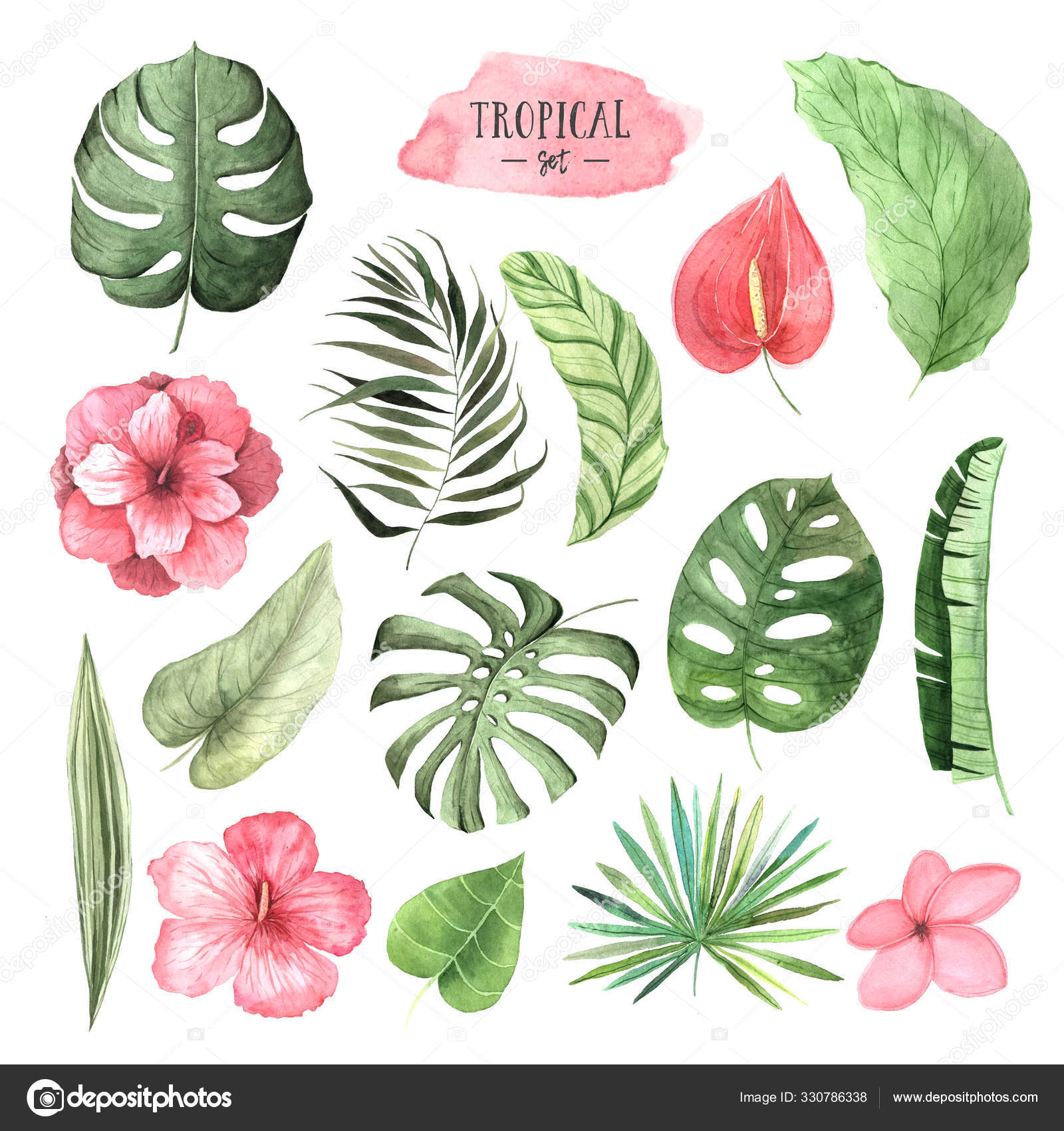 Watercolor Tropical Flowers, Leaves And Plants Stock Photo By ©Lisagerrard 330786338