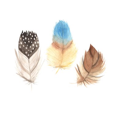 Suluboya boho tüyleri koleksiyonu