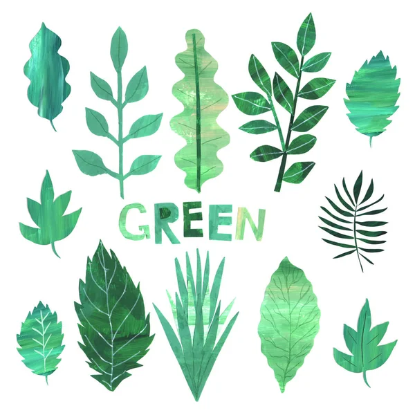 Paper collage green leaves collection — 스톡 사진