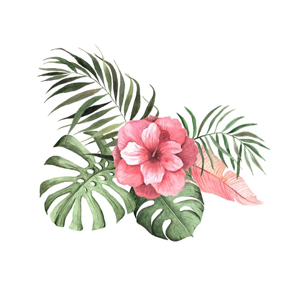 水彩热带花卉、树叶和植物 — 图库照片