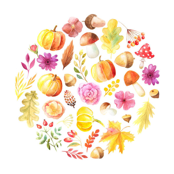 Акварель осенние листья, тыквы и ягоды
