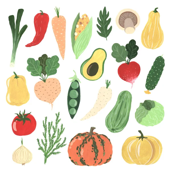 Gouache hand painted organic vegetables