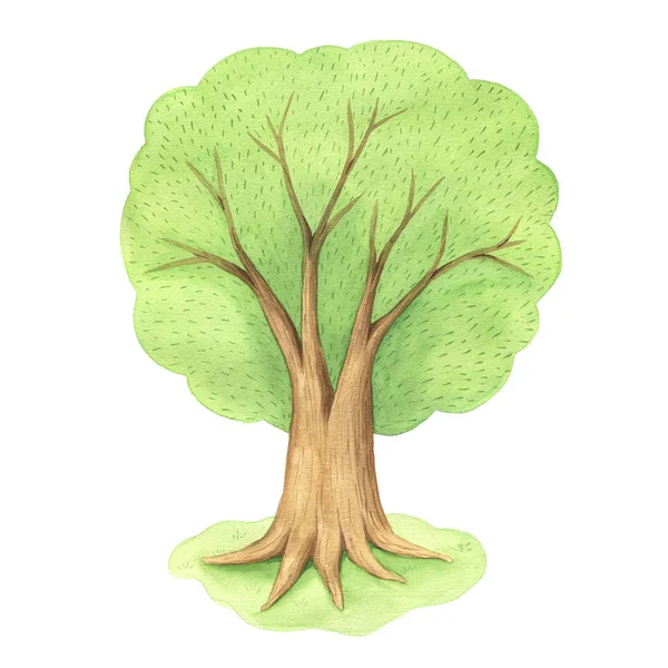 Watercolor hand painted green tree — Stockfoto