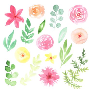 Suluboya narin pembe çiçekler ve yaprakları