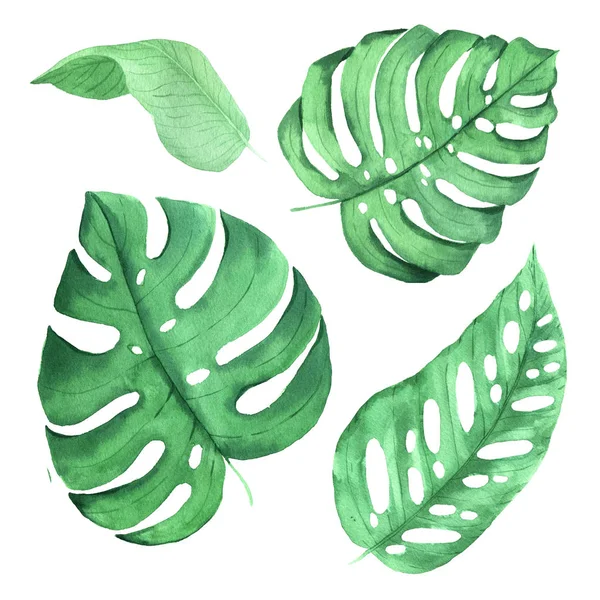 Acuarela pintada a mano hojas tropicales —  Fotos de Stock