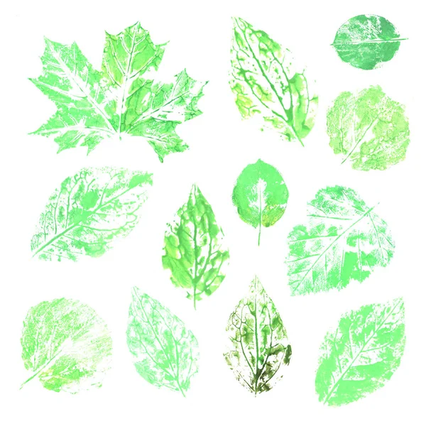 Watercolor collection of ink printing leaves — 스톡 사진