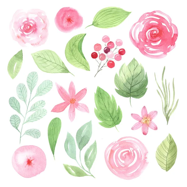 Aquarela delicadas flores e folhas rosa — Fotografia de Stock