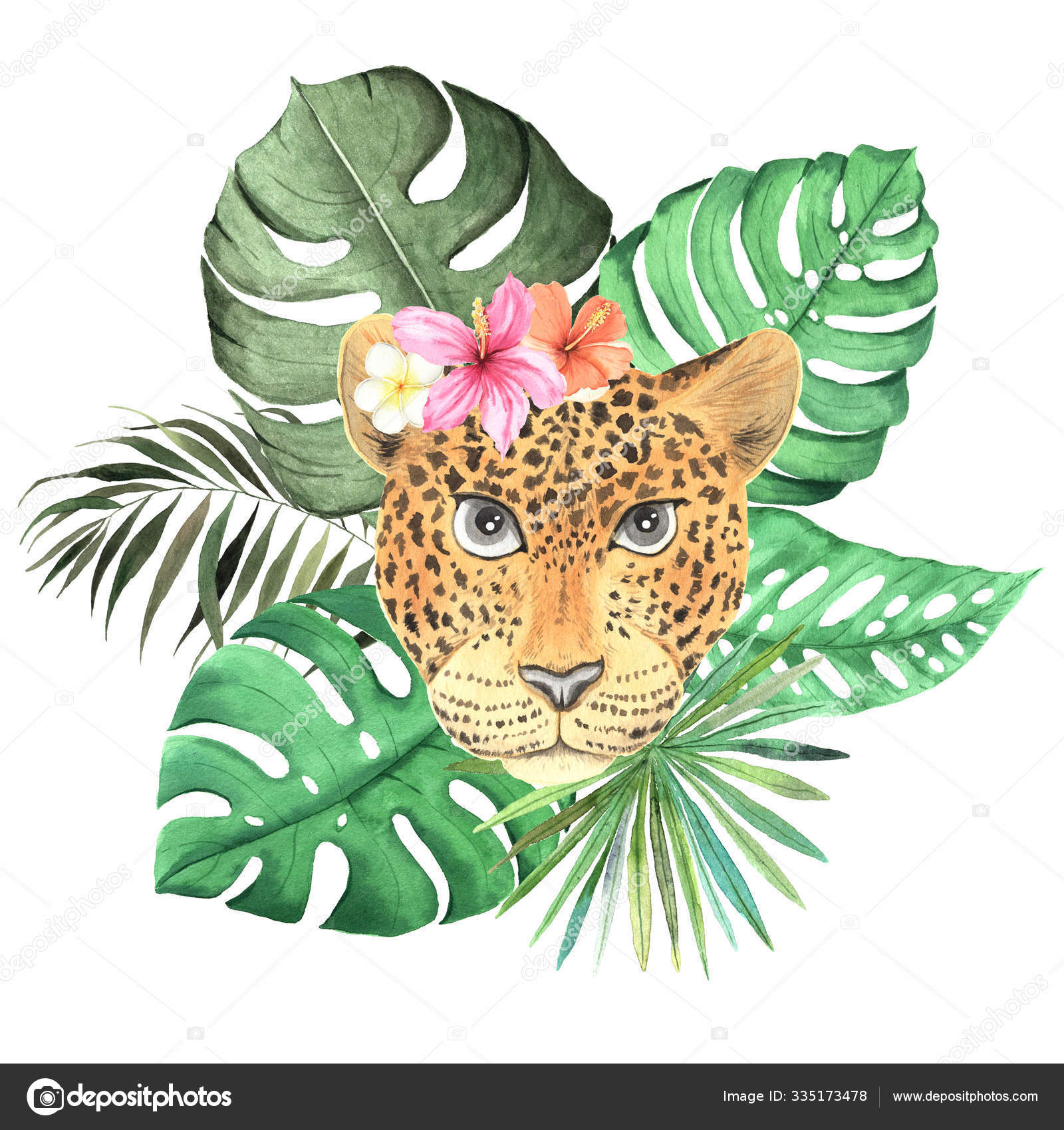Watercolor wild leopard animal with tropical flowers and leaves Stock Photo  by ©lisagerrard 335173478