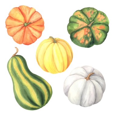 Suluboya el yeşile boyanmış, turuncu, sarı balkabağı