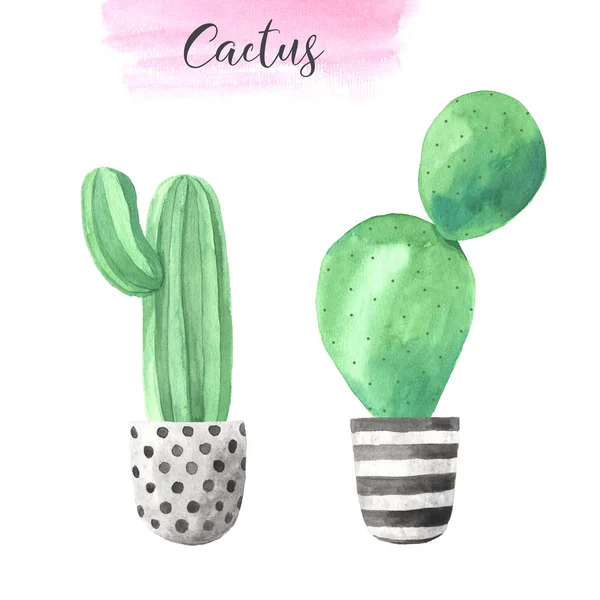 Akwarela ręcznie malowane egzotyczne zielone kaktusy — Zdjęcie stockowe