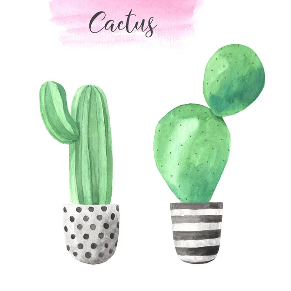 Watercolor hand painted exotic green cactus — 스톡 사진