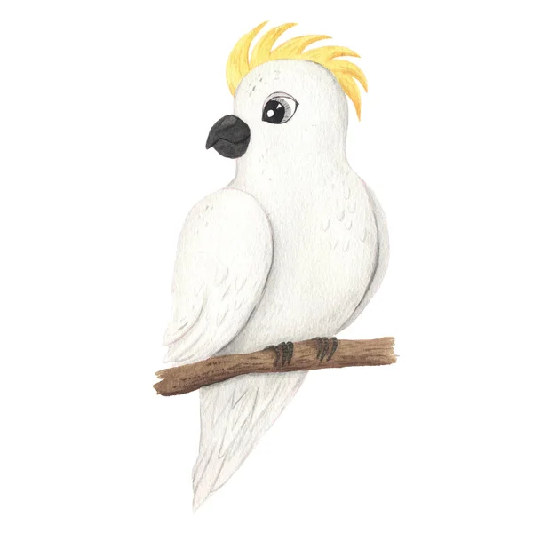 Aquarell handbemalter tropischer weißer Papagei — Stockfoto