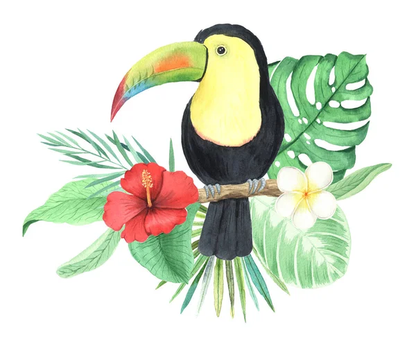 Watercolor tropical flowers and toucan composition — Stockfoto