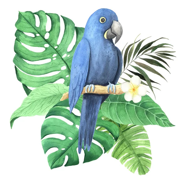 Aquarell tropische Blumen- und Papageienkomposition — Stockfoto