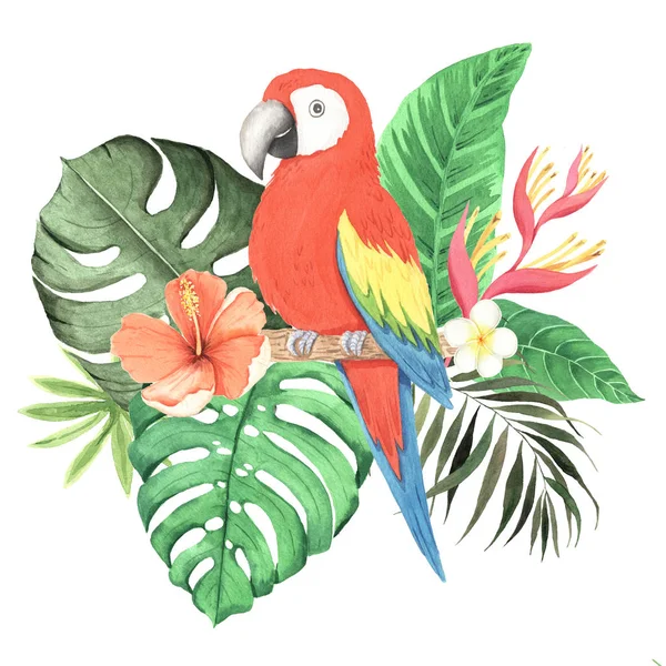 Suluboya tropik çiçek ve papağan kompozisyonu — Stok fotoğraf