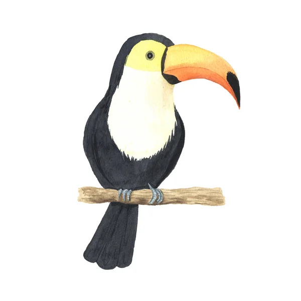 Watercolor colorful tropical toucan — Foto de Stock