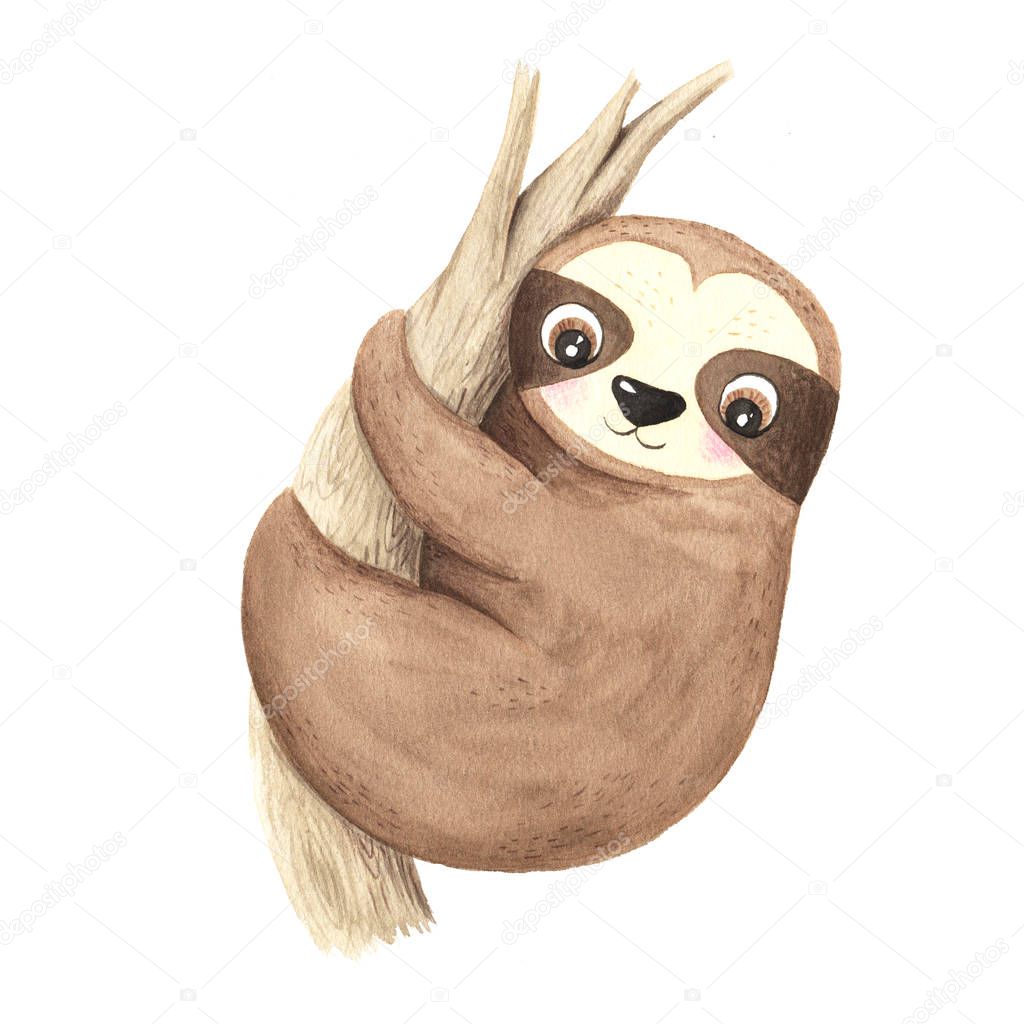 Watercolor hand painted cute sloth