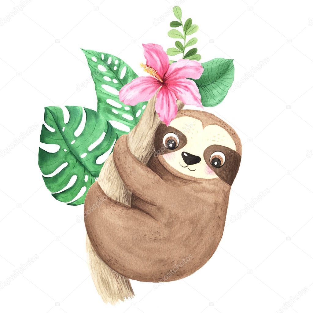 Watercolor hand painted cute sloth hanging on the tree