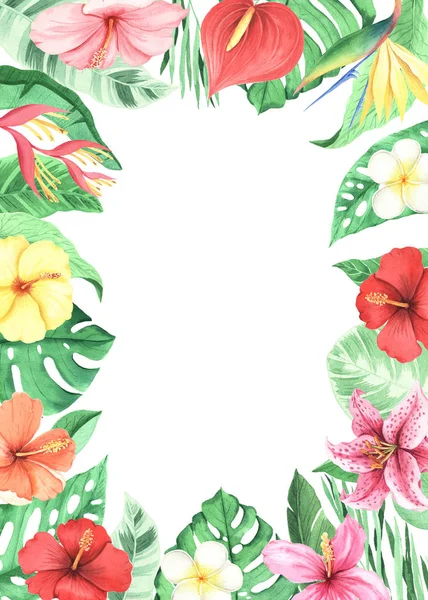 Watercolor green tropical frame