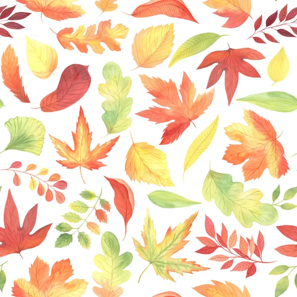 Aquarell Herbst nahtloses Muster — Stockfoto
