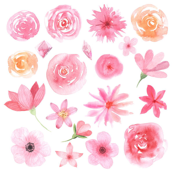 Watercolor delicate pink flowers and blooms