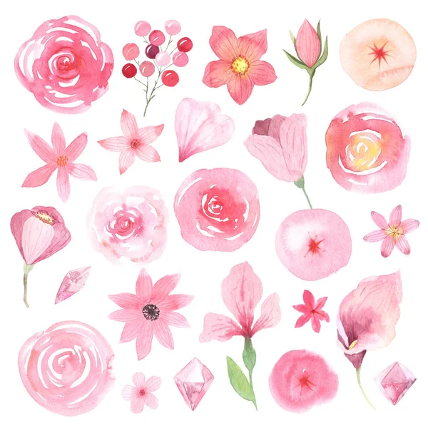 Watercolor delicate pink flowers and blooms — Stok fotoğraf