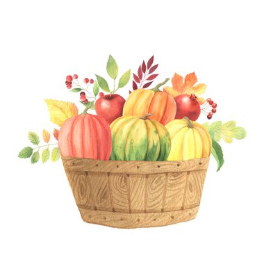 Suluboya el ahşap sepet turuncu kabaklar boyalı. Sonbahar Doğa kompozisyon beyaz izole. Kart yapma ve skrapbooking için idealdir