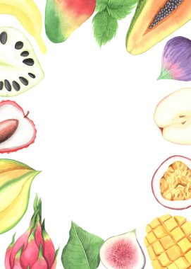 Watercolor summer colorful fruits frame. Mango; dragon fruit, mangosteen, fig. Blank card template with exotic fresh clipart perfect for card making and menu design