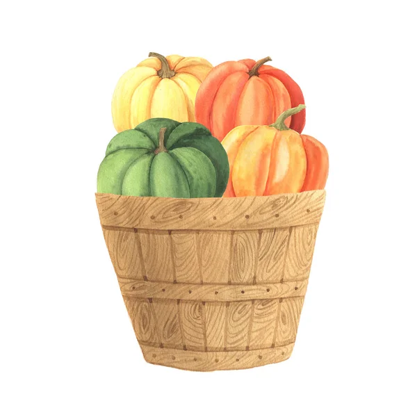 Watercolor Hand Painted Orange Pumpkins Wooden Basket Autumn Nature Composition — Stock Photo, Image