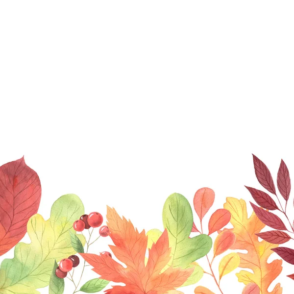 水彩缤纷的秋天绿叶 橙色和红色叶盘 收集由森林和花园植物启发而来的孤立手绘秋季花卉元素 为感恩设计的发展做出了完美的贡献 — 图库照片