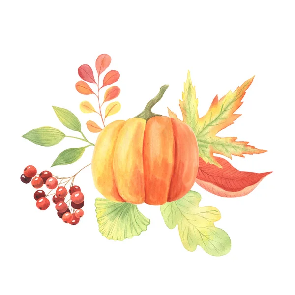 Dynie Akwarelowe Jesienne Kolorowymi Liśćmi Jagodami Gałęziami Inspirowanymi Jesiennymi Zbiorami — Zdjęcie stockowe