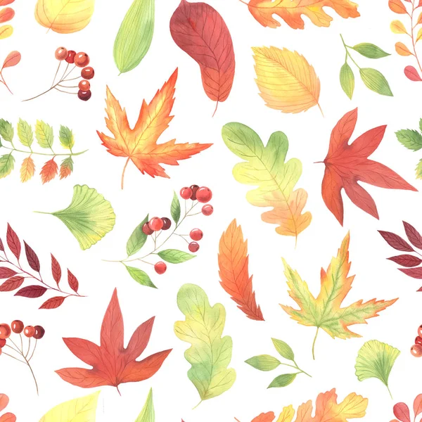 Seamless Pattern Hand Painted Watercolor Autumn Leaves Branches Berries Inspired — Stock Photo, Image