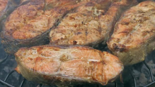 Fried grilled salmon on bbq. Marinade from white sauce and lemon. — Stock Footage Fried grilled salmon on bbq. Marinade from white sauce and lemon. Video Clip