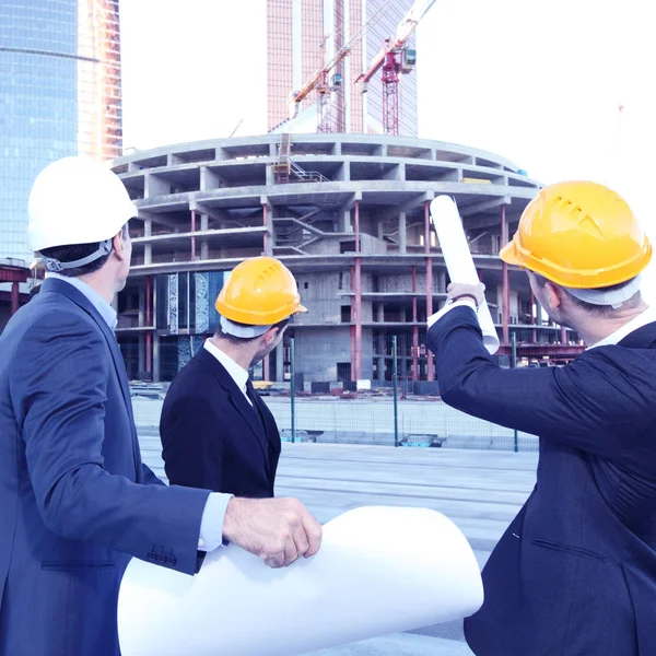 Arquitetos com planta — Fotografia de Stock