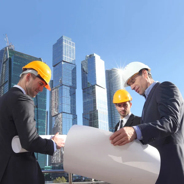 Arquitetos com planta — Fotografia de Stock