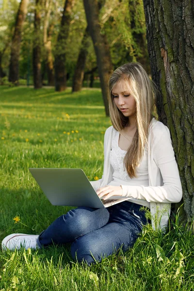 Genç kız park içinde laptop ile çalışma