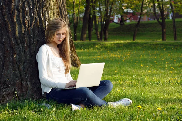 Genç kız park içinde laptop ile çalışma