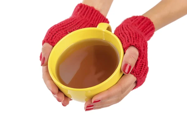 Tasse de thé dans les mains féminines . — Photo