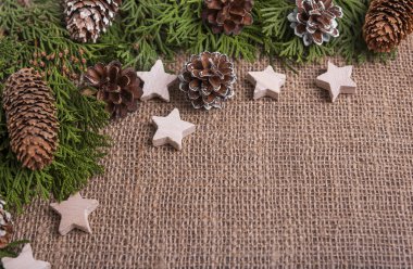 Koniler ve yeşil dallarda arka plan çuval bezi.