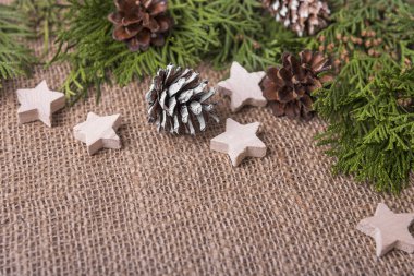 Koniler ve yeşil dallarda arka plan çuval bezi.