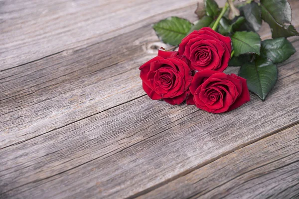 Rose rosse su assi di legno . — Foto Stock