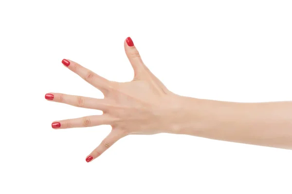 Tellen vrouw handen vijf. — Stockfoto