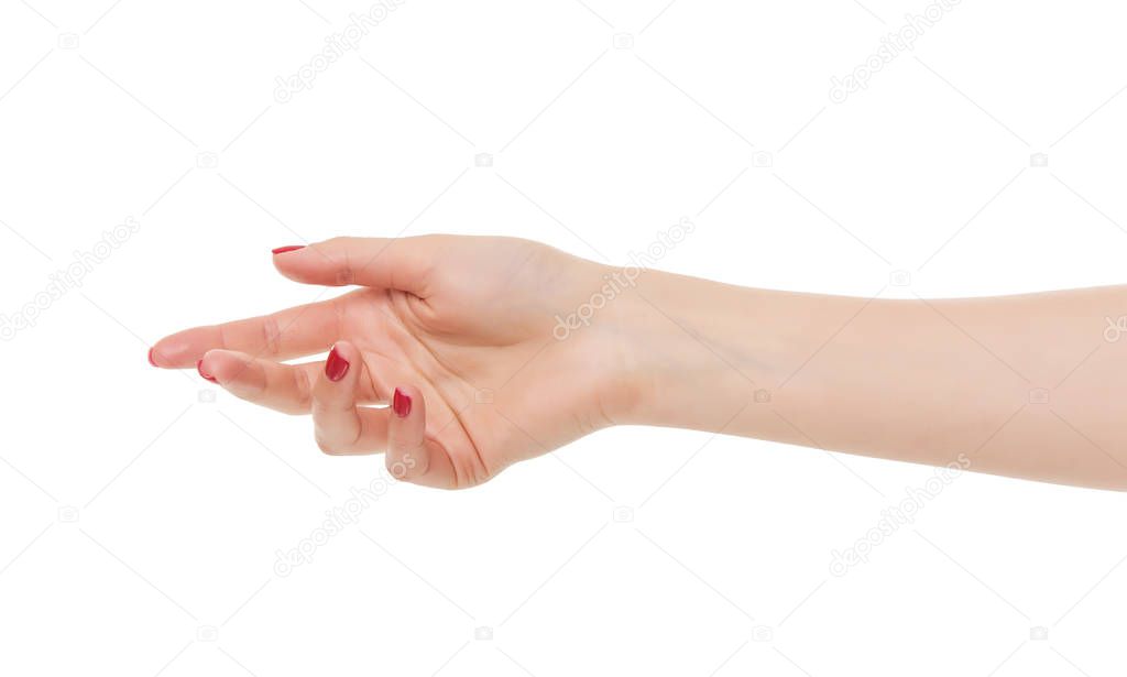Woman open hand