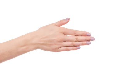 Female hand greeting. clipart