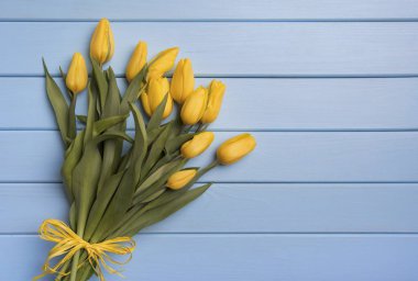 Mavi kurullarında Sarı laleler.