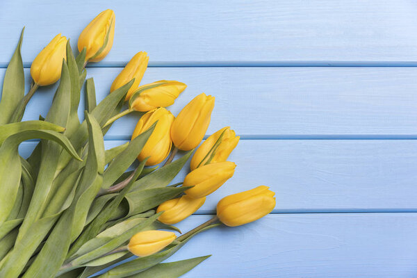 Yellow tulips on blue boards.