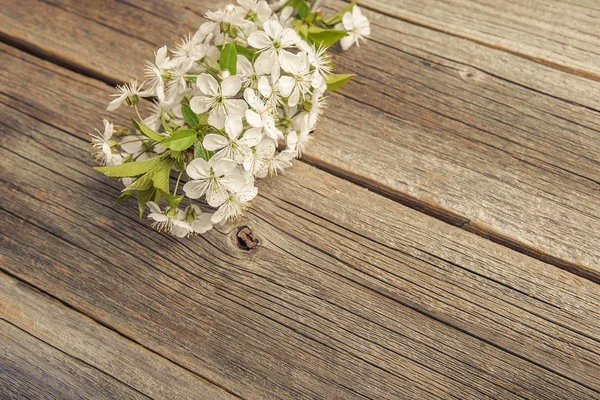 Grenar av ett blommande träd på träskivor. — Stockfoto