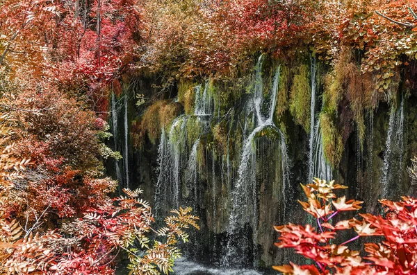 Lagos de Plitvice no outono . — Fotografia de Stock