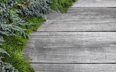 Köknar ağacı ahşap arka plan üzerinde.